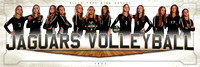 Volleyball Banners