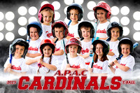 Cardinals 2023